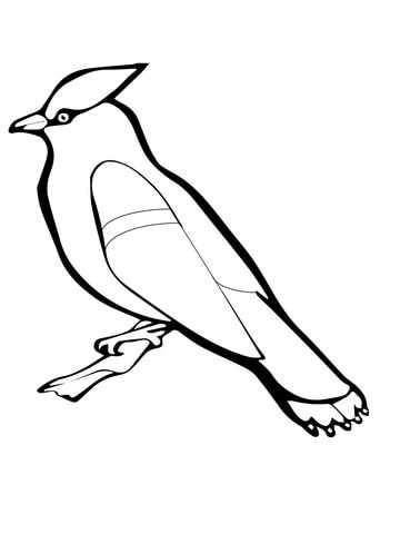 Waxwing Bird Coloring Page